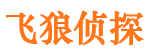 静宁市调查公司